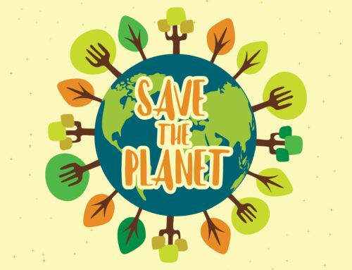 HOW YOU CAN SUPPORT EARTH DAY TODAY AND EVERYDAY