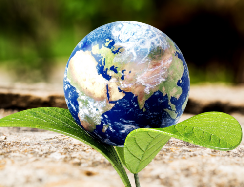 EARTH DAY’S IMPACT ON THE CONSTRUCTION INDUSTRY